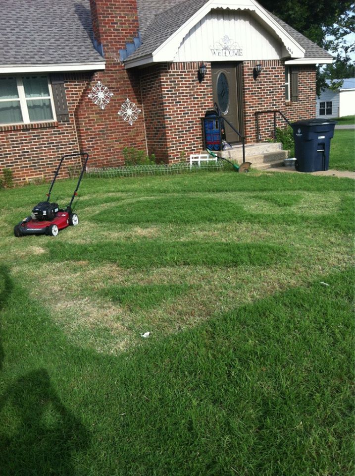 when your lawn needs a hero