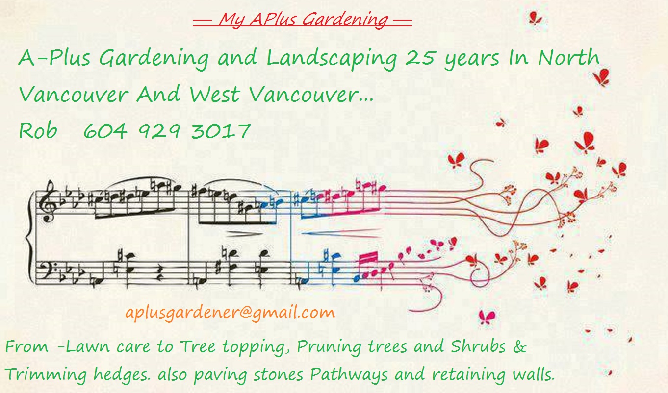 My APlus Gardening music notes