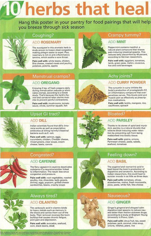 heal food herbs