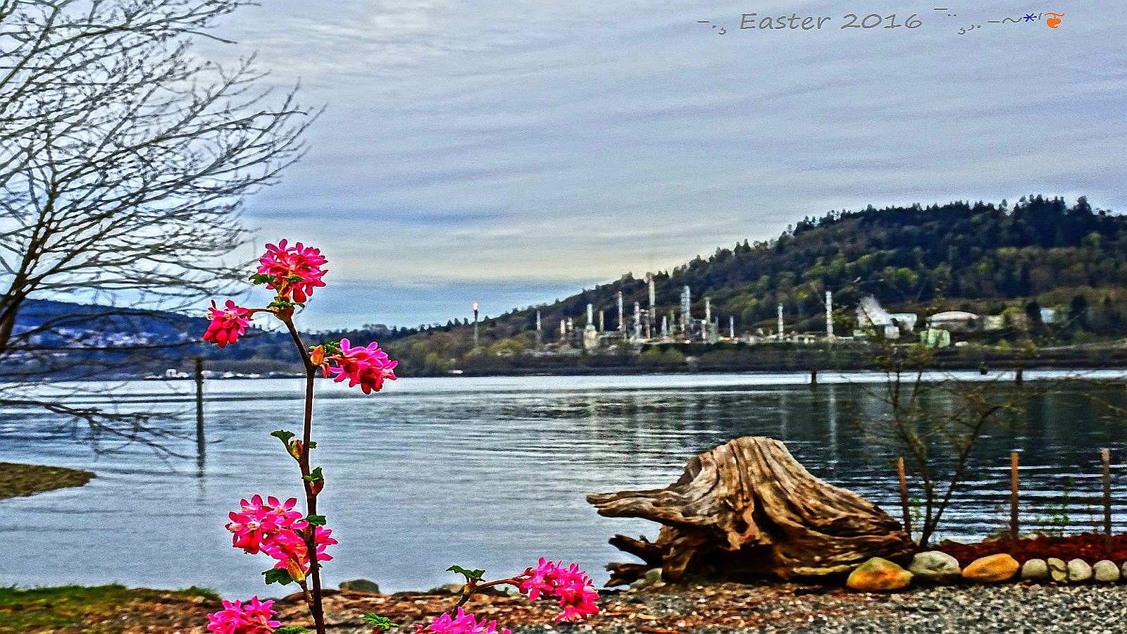 2016 03 26 Vancouver In Canada mudflats Flower garden oil w