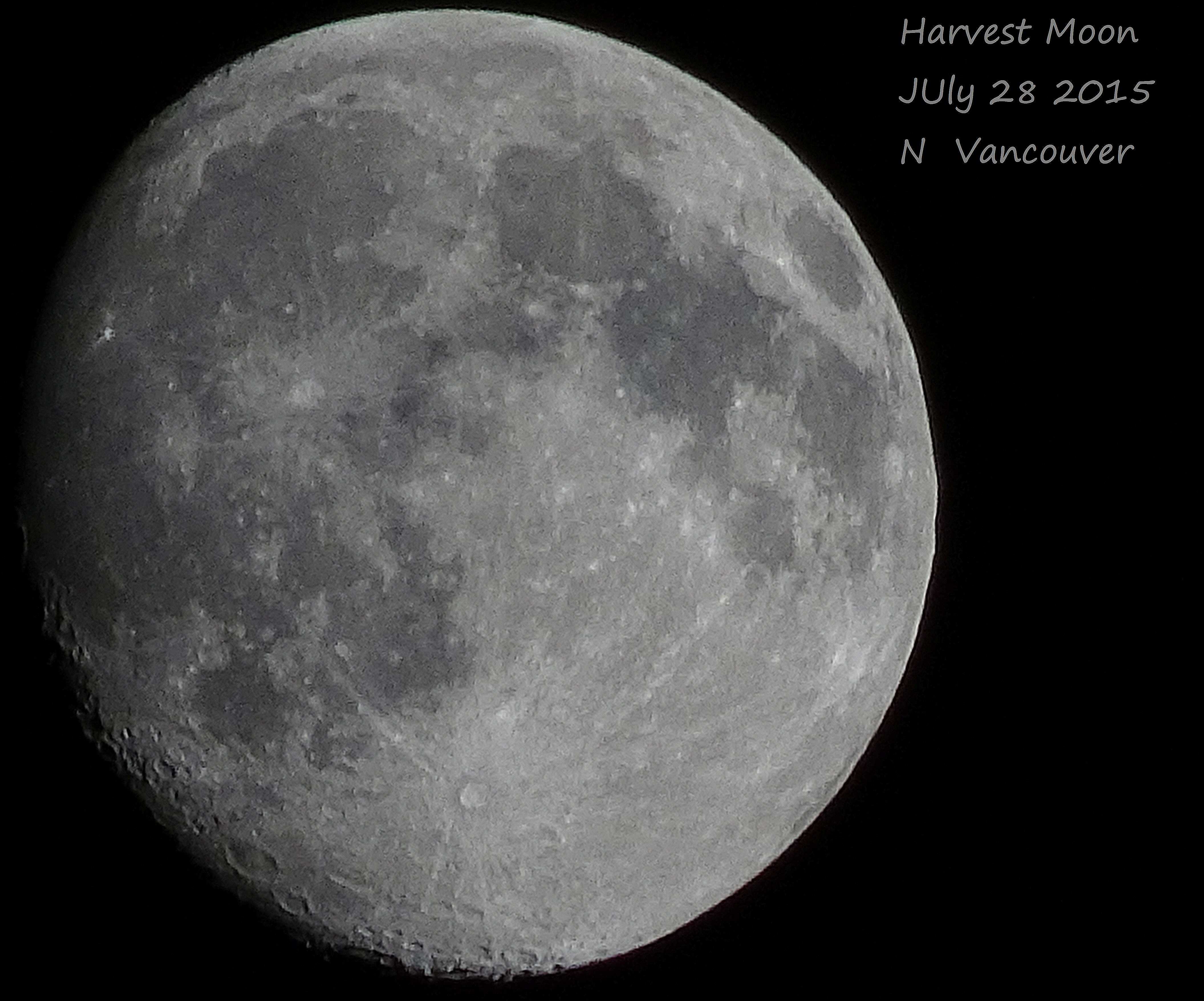2015 07 28 dc Harvest Moon Normal tag a